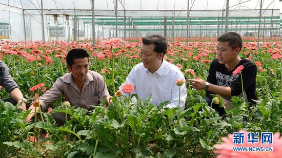 廖俊波（中）在福建省政和县铁山镇东涧村向花农了解花卉生产情况（2014年4月18日摄）。新华社发（徐庭盛 摄）